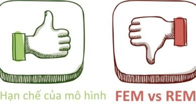 Mô hình FEM vs REM được sử dụng để ước lượng dữ liệu bảng. Tuy nhiên, cả 2 mô hình FEM vs REM đều gặp vấn đề HAC (Heteroskadasticity and AutoCorrelation)