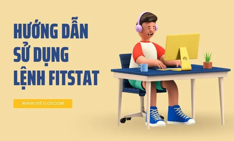 Hướng dẫn sử dụng lệnh fitstat stata