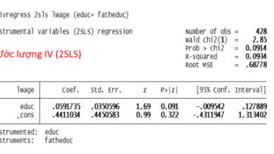Hồi quy 2 giai đoạn - 2SLS
