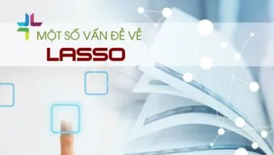 Vì sao không có giá trị p trong kết quả ước lượng của các hệ số, hay số biết vượt quá số quan sát hoặc cách ước lượng mô hình lasso logit, probit và poisson