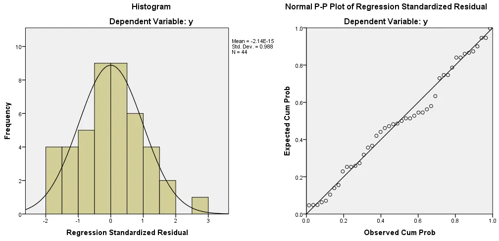 Histogram và Normal P-P Plot của phần dư
