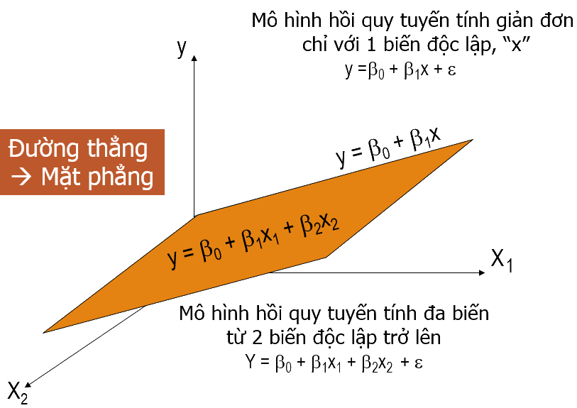 Minh họa hồi quy tuyến tính giản đa biến