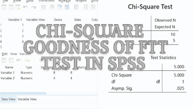 Hướng dẫn thực hiện và đọc kết quả Kiểm định chi bình phương trong thực hành kinh tế lượng với SPSS