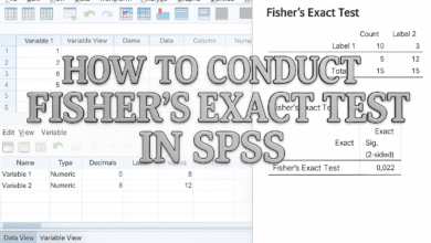 Kiểm định Fisher Exact cho dữ liệu phân loại với mẫu nhỏ trong thực hành kinh tế lượng với SPSS
