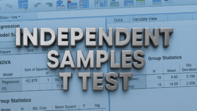 Hướng dẫn thực hiện và đọc kết quả Kiểm định t-test trung bình 2 mẫu độc lập với SPSS