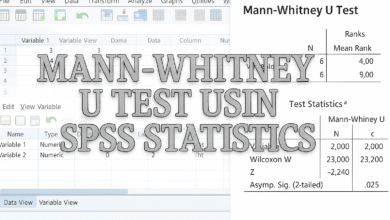 Hướng dẫn phân tích và đọc kết quả Kiểm định Wilcoxon-Mann-Whitney trong thực hành kinh tế lượng với SPSS