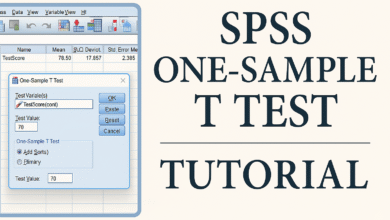 Kiểm định t-test trung bình một mẫu trong thực hành kinh tế lượng với SPSS