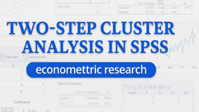 Giới thiệu và minh họa thực hành phân tích Cluster hai bước trên SPSS