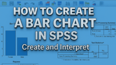 Tạo đồ thị thanh trong thực hành kinh tế lượng với SPSS