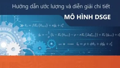 Hướng dẫn thực hiện và đọc kết quả ước lượng mô hình DSGE trên Stata 15