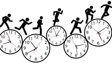 Hướng dẫn thực hiện ước lượng mô hình ARDL trên Stata