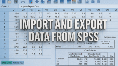 Nhập xuất dữ liệu trong SPSS cho thực hành kinh tế lượng