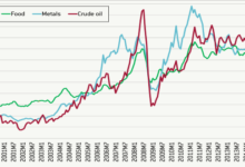 Số tham số tự do cần ước lượng của mô hình VAR quá nhiều