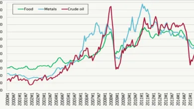 Số tham số tự do cần ước lượng của mô hình VAR quá nhiều