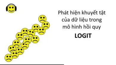 Phát hiện các khuyết tật dữ liệu trong mô hình hồi quy Logit