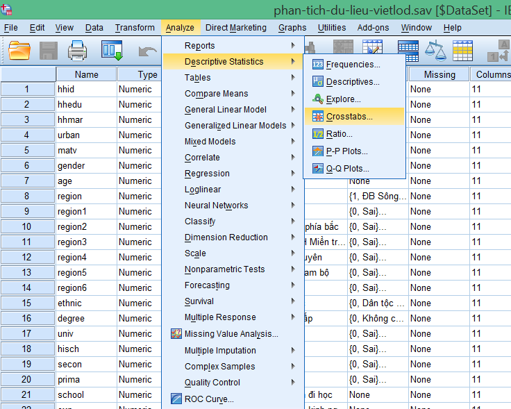 Hướng dẫn truy cập công cụ phân tích bảng chéo Giao diện menu Analyze - Descriptive Statistics - Crosstabs trong SPSS