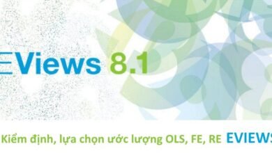 Lựa chọn OLS, FE, RE trên EViews bằng các kiểm định về sự tồn tại của các ảnh hưởng cố định u_i, tương quan giữa các đối tượng và tương quan giữa u_i với X