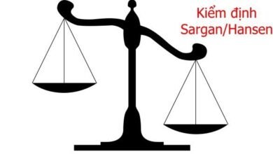 Kiểm định Sargan/Hansen được sử dụng để kiểm tra sự tự tương quan và tính hợp lý của biến đại diện sau ước lượng GMM (còn gọi kiểm định ràng buộc quá mức).