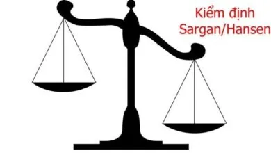 Kiểm định Sargan/Hansen được sử dụng để kiểm tra sự tự tương quan và tính hợp lý của biến đại diện sau ước lượng GMM (còn gọi kiểm định ràng buộc quá mức).