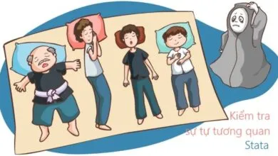 Kiểm tra sự tự tương quan trong mô hình FE