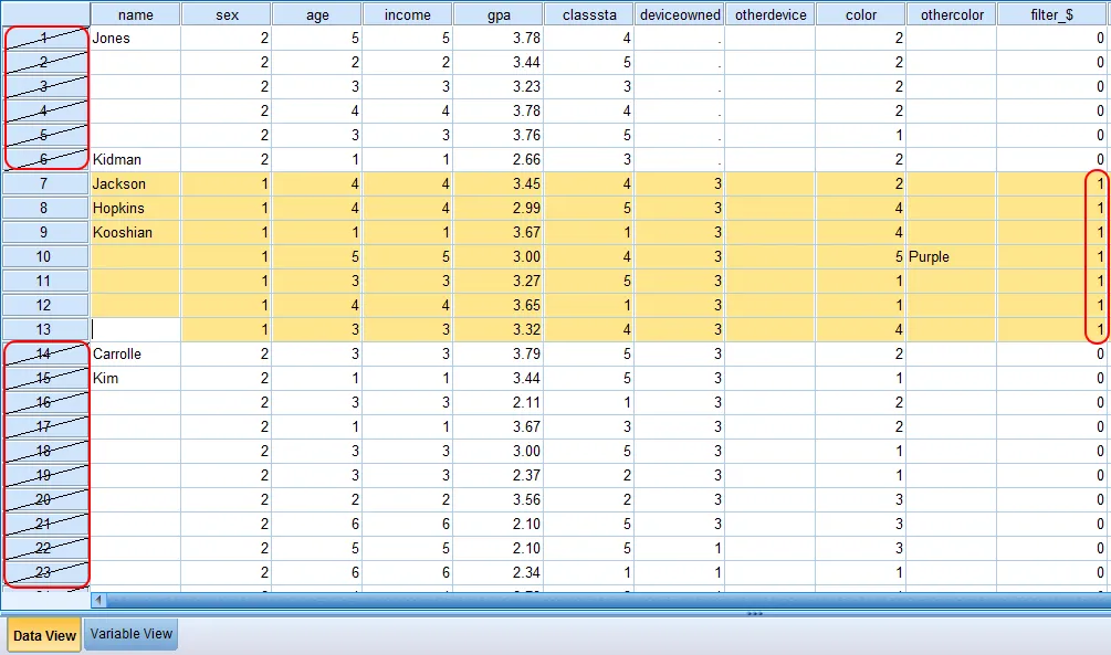 Kết quả lọc quan sát trong Data View của SPSS