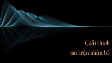 Giải thích ma trận nhân tố