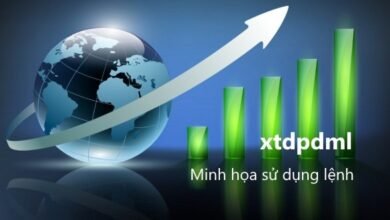 Minh họa sử dụng lệnh xtdpdml trên Stata