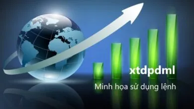 Minh họa sử dụng lệnh xtdpdml trên Stata
