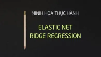 Phương pháp Elastic net và Ridge regression thích hợp trong trường hợp mô hình tồn tại các tập biến có tương quan cao với nhau
