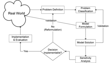 Mô hình chính sách công (Public policy modeling)