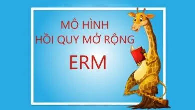 Mô hình hồi quy mở rộng ERM cho phép bạn xử lí các vấn đề biến nội sinh trên các mô hình OLS, logit/probit...