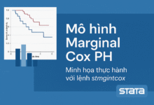 Hướng dẫn thực hiện Marginal Cox PH Model