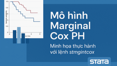 Hướng dẫn thực hiện Marginal Cox PH Model