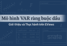 Mô hình VAR ràng buộc dấu (Sign Restriction VAR)