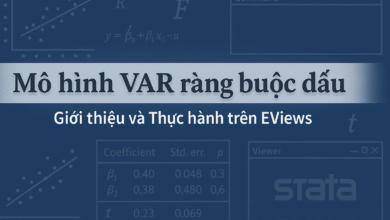 Mô hình VAR ràng buộc dấu (Sign Restriction VAR)