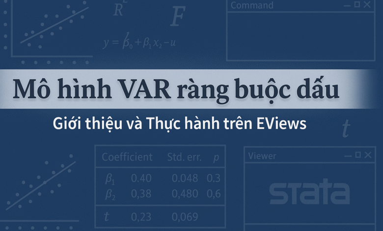 Mô hình VAR ràng buộc dấu (Sign Restriction VAR)