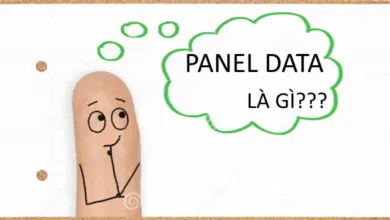 Dữ liệu bảng - Panel data - là gì?