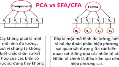 Phân biệt PCA vs EFA