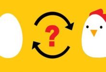 Thực hành phân tích nhân quả theo quy tắc Toda-Yamamota trên EViews