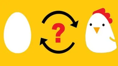 Thực hành phân tích nhân quả theo quy tắc Toda-Yamamota trên EViews