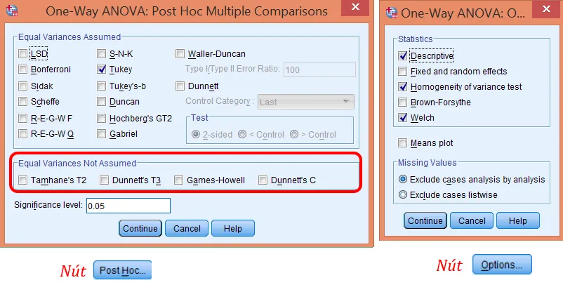 Cửa sổ thiết lập Post Hoc Tests và Options trong One-Way ANOVA