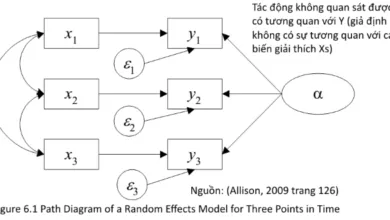 Trong Panel data khi nào thì sử dụng REM? Khi nào thì sử dụng FEM? Kiểm định Hausman là gì? Những tồn tại của kiểm định Hausman là gì? Khắc phục nó ra sao?