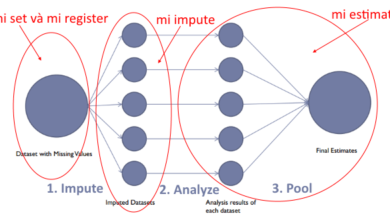 Phương pháp thay thế lặp - MI