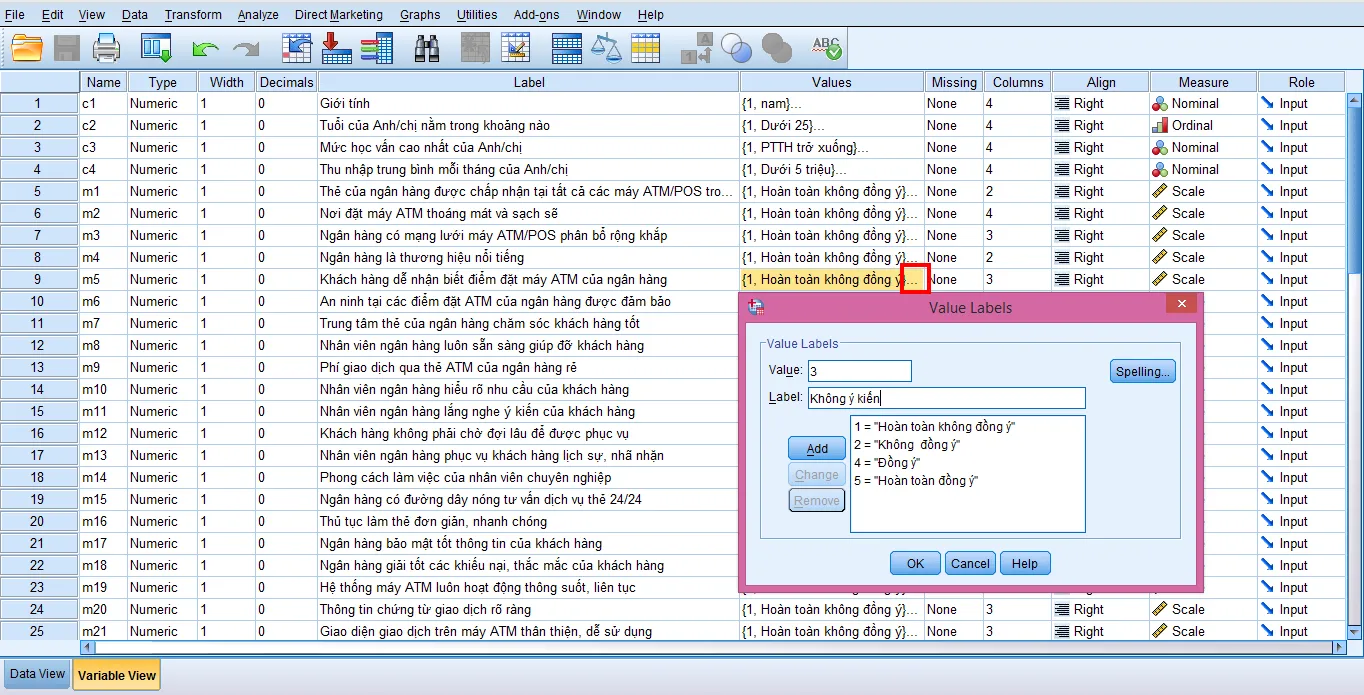 Giao diện mã hóa giá trị biến trong Variable View của SPSS