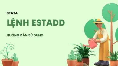 Hướng dẫn sử dụng lệnh estadd