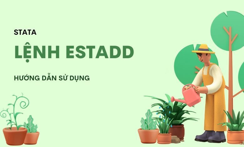 Hướng dẫn sử dụng lệnh estadd