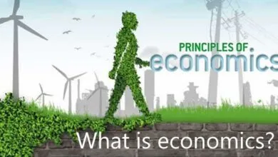 Kinh tế học là gì?