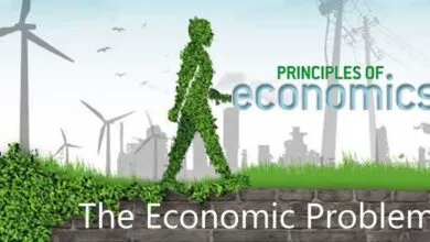 Trắc nghiệm các vấn đề kinh tế học