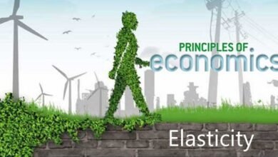 Trắc nghiệm về độ co dãn