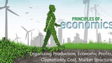 Trắc nghiệm tối ưu hóa sản xuất